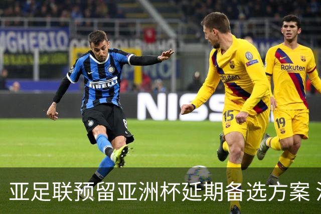 亚足联预留亚洲杯延期备选方案 沙特力保2027年如期举办