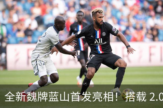 全新魏牌蓝山首发亮相！搭载 2.0T 发动机，预计将于年内完成上市
