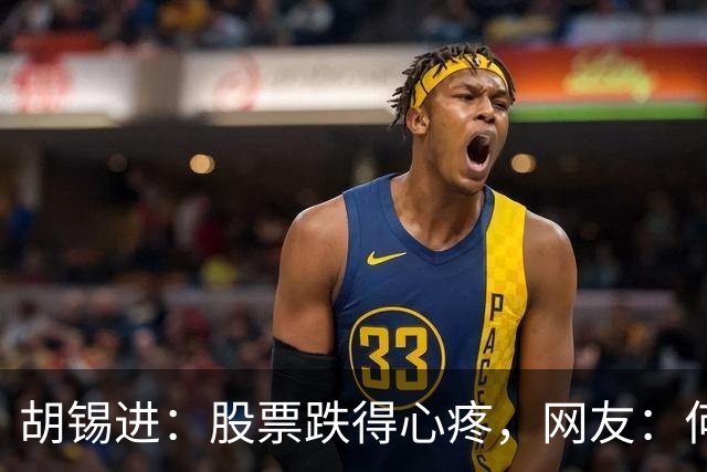 胡锡进：股票跌得心疼，网友：何止心疼，完全是肉疼